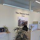 구룡달전로 | 대전 본아트, 더 네츄럴 스튜디오 (그린)