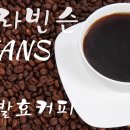 미로항공여행사 이미지