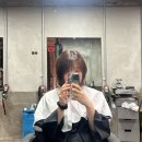 박복분 | 행복했다 박복해진 6월 (+25&#39;서울국제도서전)