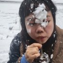 2024 마지막 포스팅