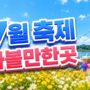 7월 축제 가볼만한곳 2026 전국 추천 BEST 총정리 이미지