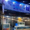 동래막썰어횟집과산오징어해물탕 | [부산 온천장 술집] 온천시장 맛집 ‘온천장 막썰어횟집 산오징어’