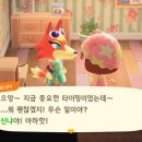 여우노래광장 이미지