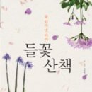 들꽃따라 이미지