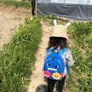 오로정승마을 영농조합법인 이미지