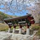 정기산행((134회0429)경남창녕 화왕산757.7m 진달래 이미지
