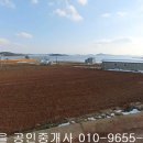 신안아파트 앞 상가 이미지