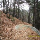 불당삼거리1 이미지