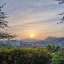 자미더홍 네이버블로그