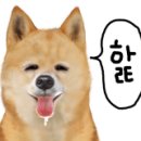 쨍하고회뜨는날 이미지