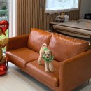 무아몽 해운대 강아지 애견미용 이미지