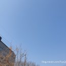장천공원 네이버블로그