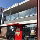 행운소프트 | 맥도날드 시즌 한정 메뉴 | 행운버거 골드스페셜 먹어본 후기(애플파이 콤보)