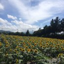 김경숙농장 이미지