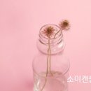 소이앤솝