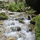 장흥계곡집 이미지