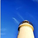 눈꽃초밥 이미지