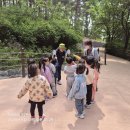 천보산 유아숲체험원 이미지
