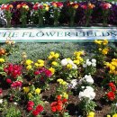 정원flower