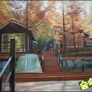 형제봉_숲길(등산)1코스 이미지