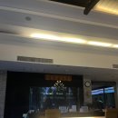 씨스타 | 푸켓 시밀란투어 후기 - Seastar 씨스타 장단점 및 픽드랍 꿀팁