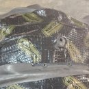 제이모터스 | BMW 타이어 노면 소리 차단, 청주방음 전문점 노이즈킹제이모터스 후기