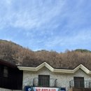 힐링(만인산) | 대전 만인산자연휴양림 숲속의집 굴피나무/촌캉스 느낌 내돈내산 후기