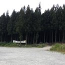 축령산휴양림입구 이미지