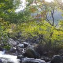 지리산힐링타운 이미지