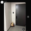 호텔 출신 셰프가 만든 수제 반찬 [ 따뜻한끼 ] 수원 정기배송 후기