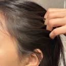 미용실 단백질샴푸 바디브 미오 샴푸 메종드팰리스 향 사용 후기 / 지성두피 샴푸 내돈내산