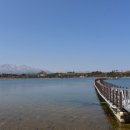 영랑호수윗길 이미지