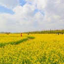 대저생태공원 이미지