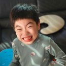 이게 웬 떡이야?! - 초코 찰떡 아이스 해태 아이스크림 후기