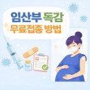 아이비산부인과의원 | 임산부 독감 국가예방접종 무료지원 방법, 면역글로불린 체크