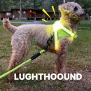 라이트 하운드 이미지