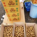 천을농장 이미지