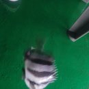 오즈실내바다 낚시터 이미지