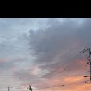 동윤천생태공원1 | 보성 10km 달리기 코스 – 자연과 함께 힐링 러닝로드