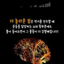 피아노의숲음악학원 이미지