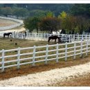 윤성목장 이미지