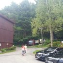 문화광장길 이미지