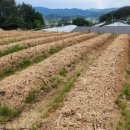 선배네농장 이미지