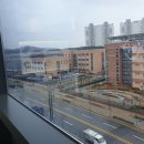 용인대 청아 태권도장 이미지