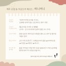 부디제주(스테이) | 2026 제주오름 트레일런 10K 완주 후기! 살로몬 트레일런 가시리 코스 공략