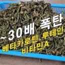 (주)큰사람 이미지