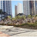 자이플러스부동산공인중개사사무소 이미지