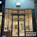 멍달샘 | 청라 애견용품점 편집샵 "멍달샘" 방문 후기 _ 귀여운 옷, 간식, 장난감(with 낙엽, 후추, 홍차, 대추)