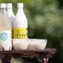 주식회사 현대관광개발 이미지