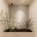 치유나무정신건강의학과의원 | 병원 인테리어 전문 '앤서스페이스'가 제안하는 치유의 공간 디자인: 다시봄 정신건강의학과 시공 사례